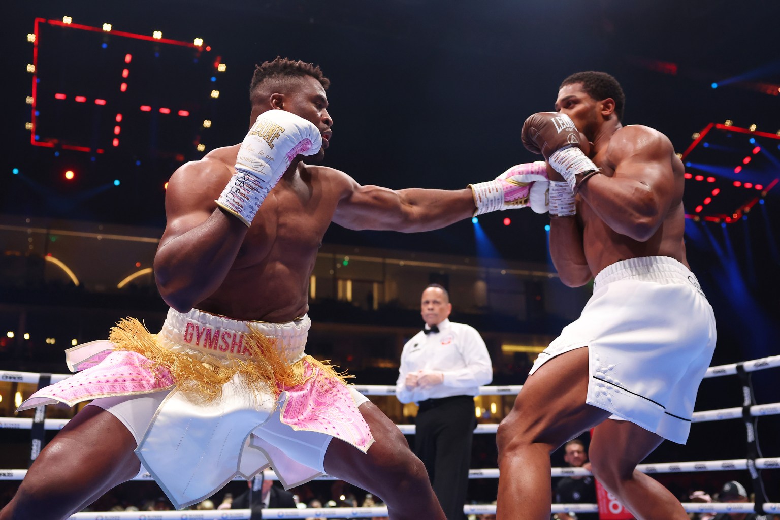 Francis Ngannou Boxing